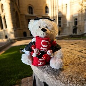 University of Georgia graduation bear with bead necklace and small T-shirt